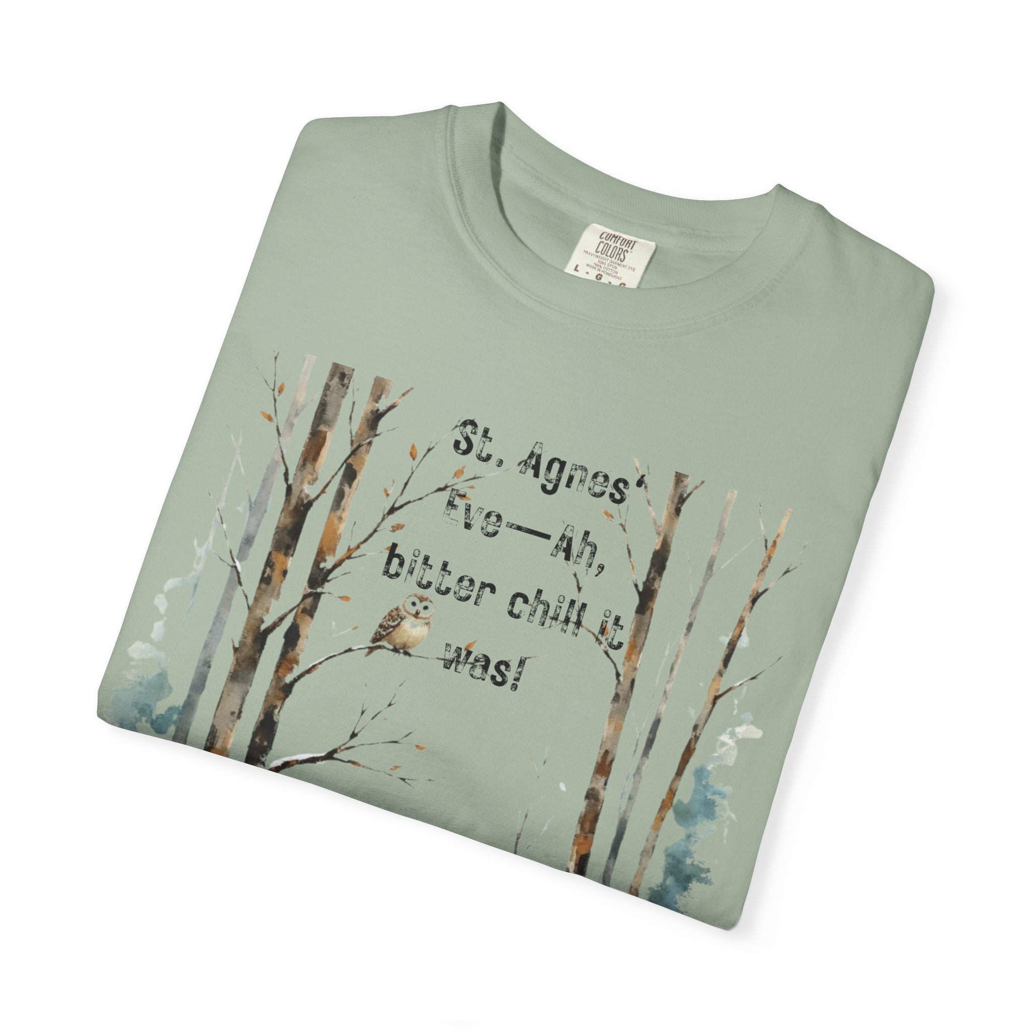 Keats St Agnes Eve Owl Winter Woods Watercolor Style