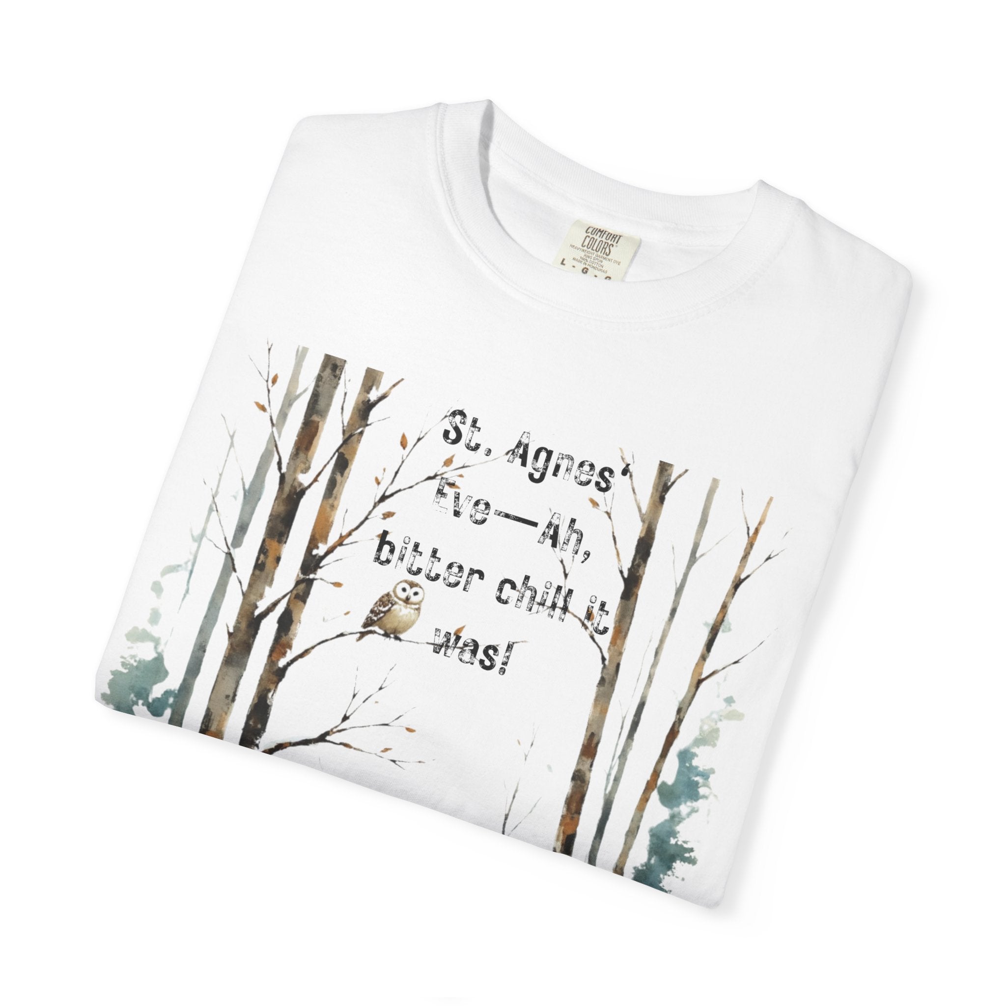 Keats St Agnes Eve Owl Winter Woods Watercolor Style
