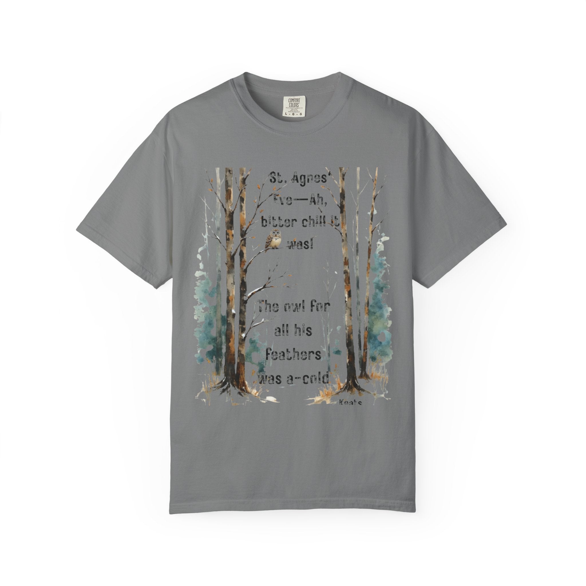 Keats St Agnes Eve Owl Winter Woods Watercolor Style