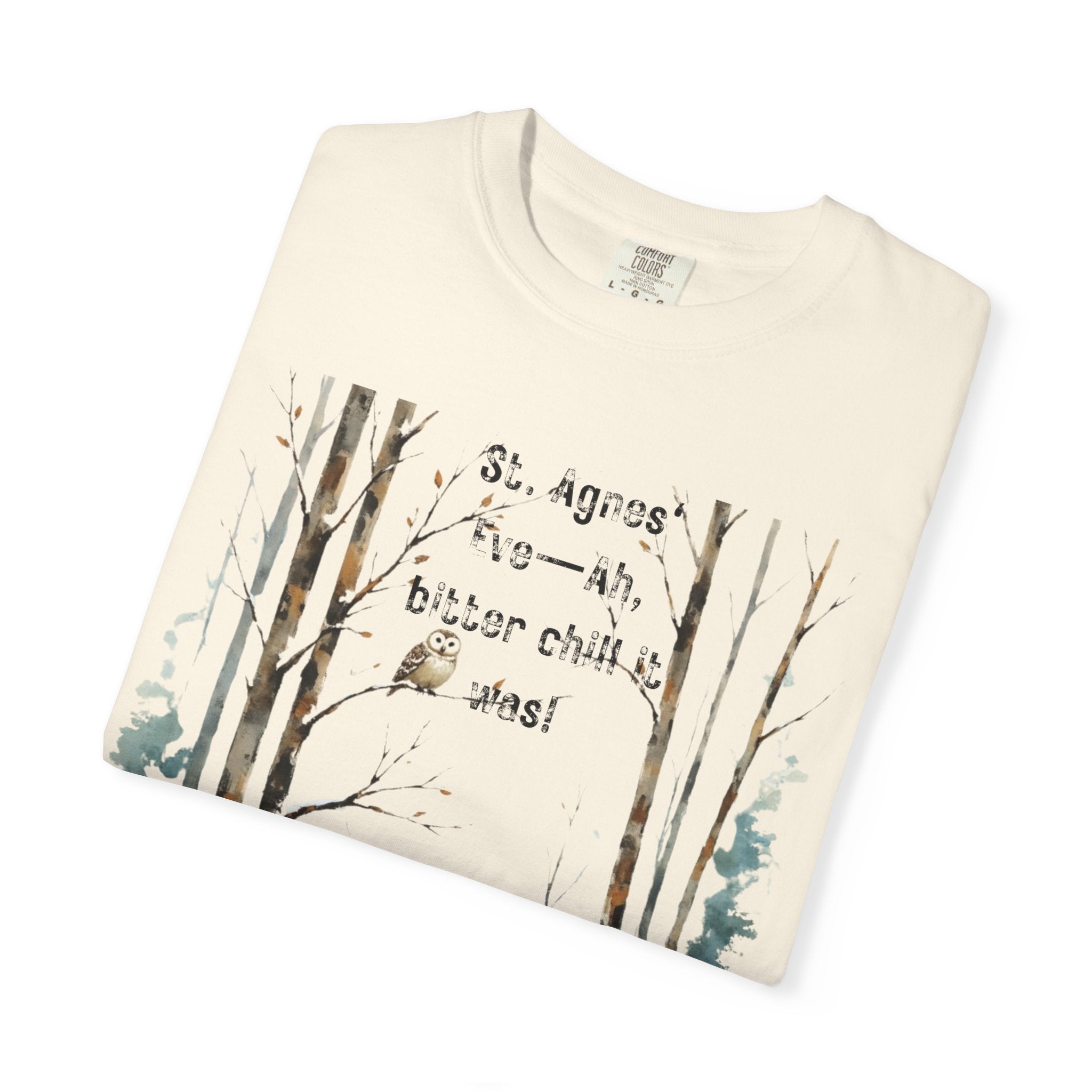Keats St Agnes Eve Owl Winter Woods Watercolor Style